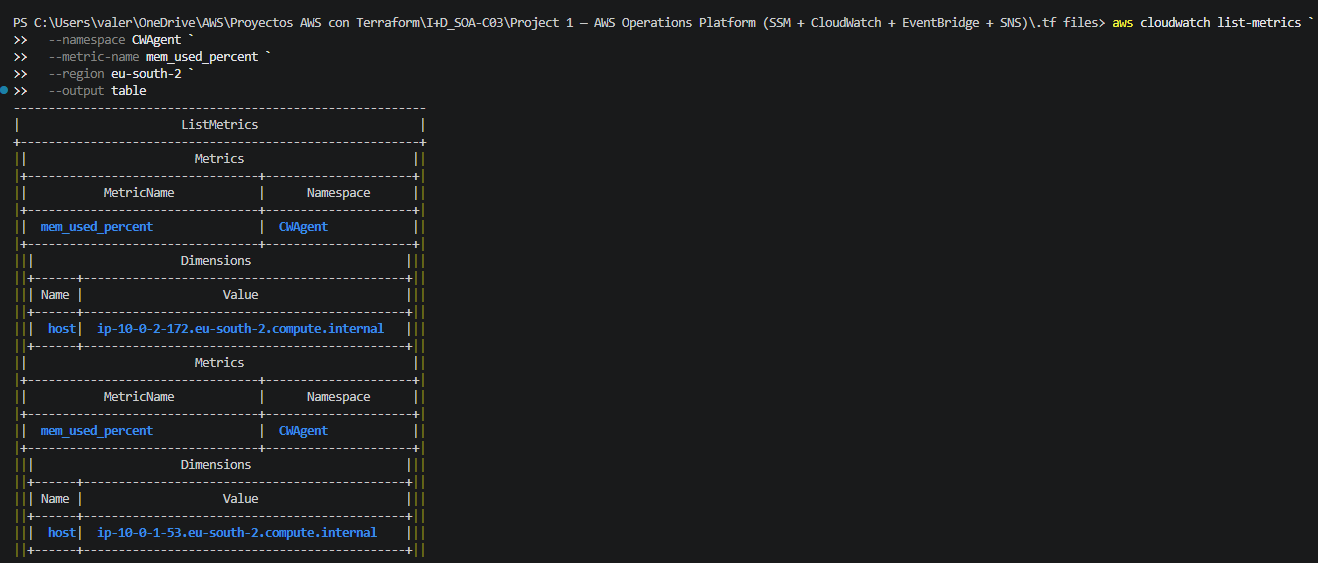 CloudWatch Agent memory metric